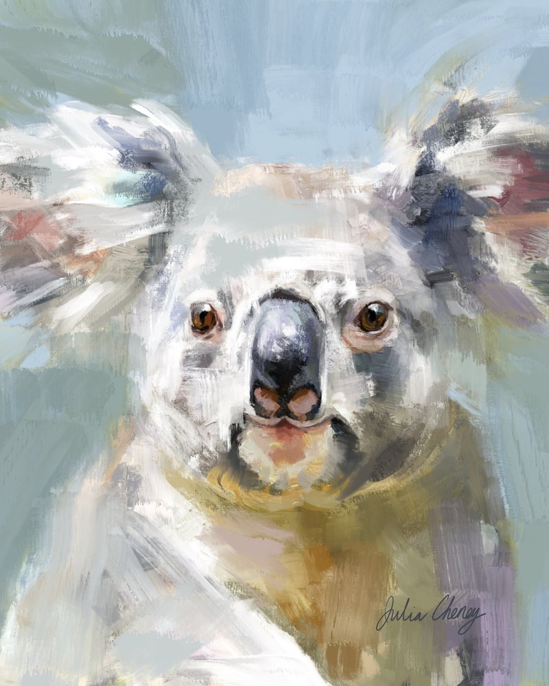 Lo sguardo dolce del koala da Julia Cheney