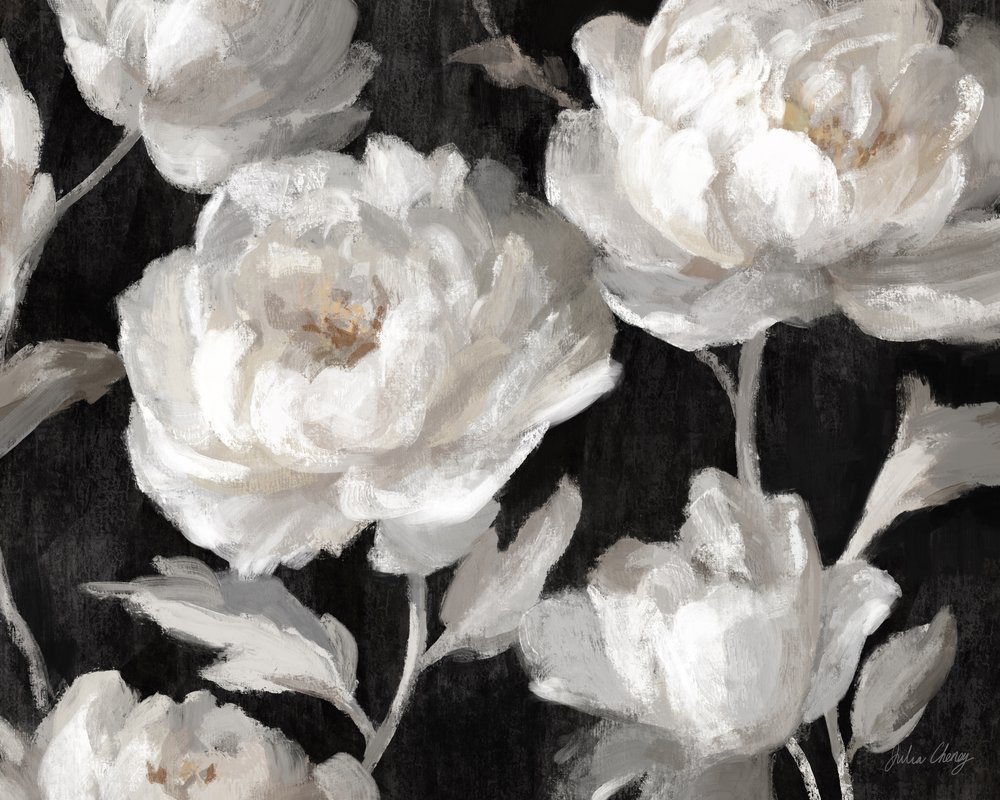 Peonie bianche su sfondo nero – Julia Cheney da Julia Cheney