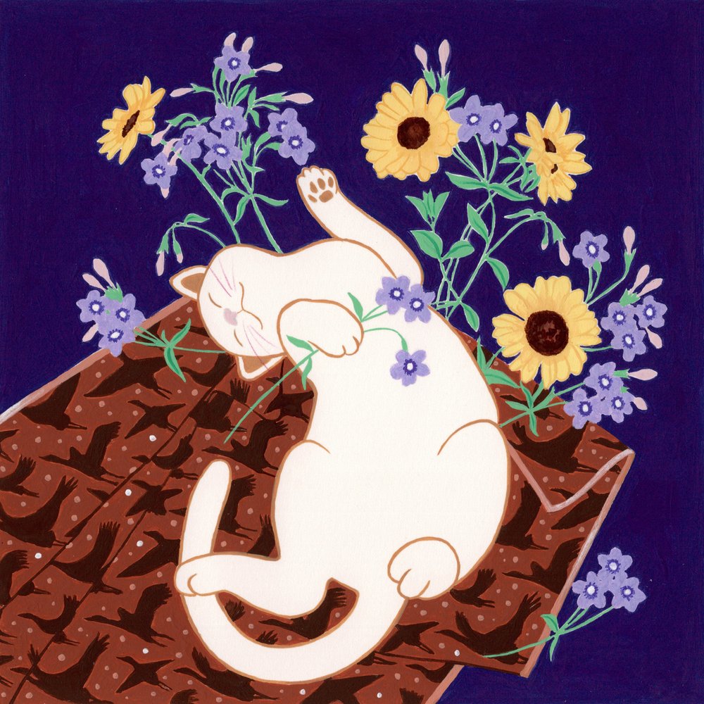 Gatto giocoso e girasoli da Julie Lesouef