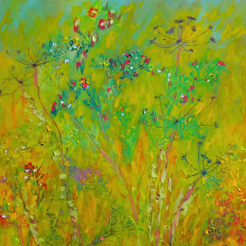 Colorato campo di fiori selvatici da Justyna Jaszke