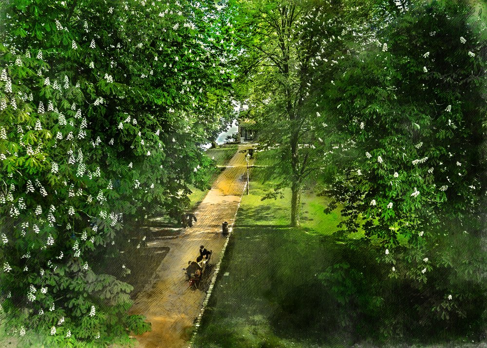 Sentiero di Spring Park da Justyna Jaszke