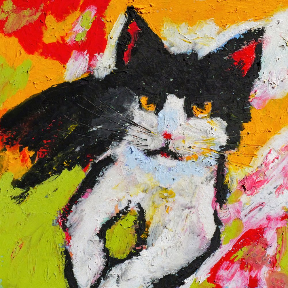 Vivace dipinto di gatto da Justyna Jaszke