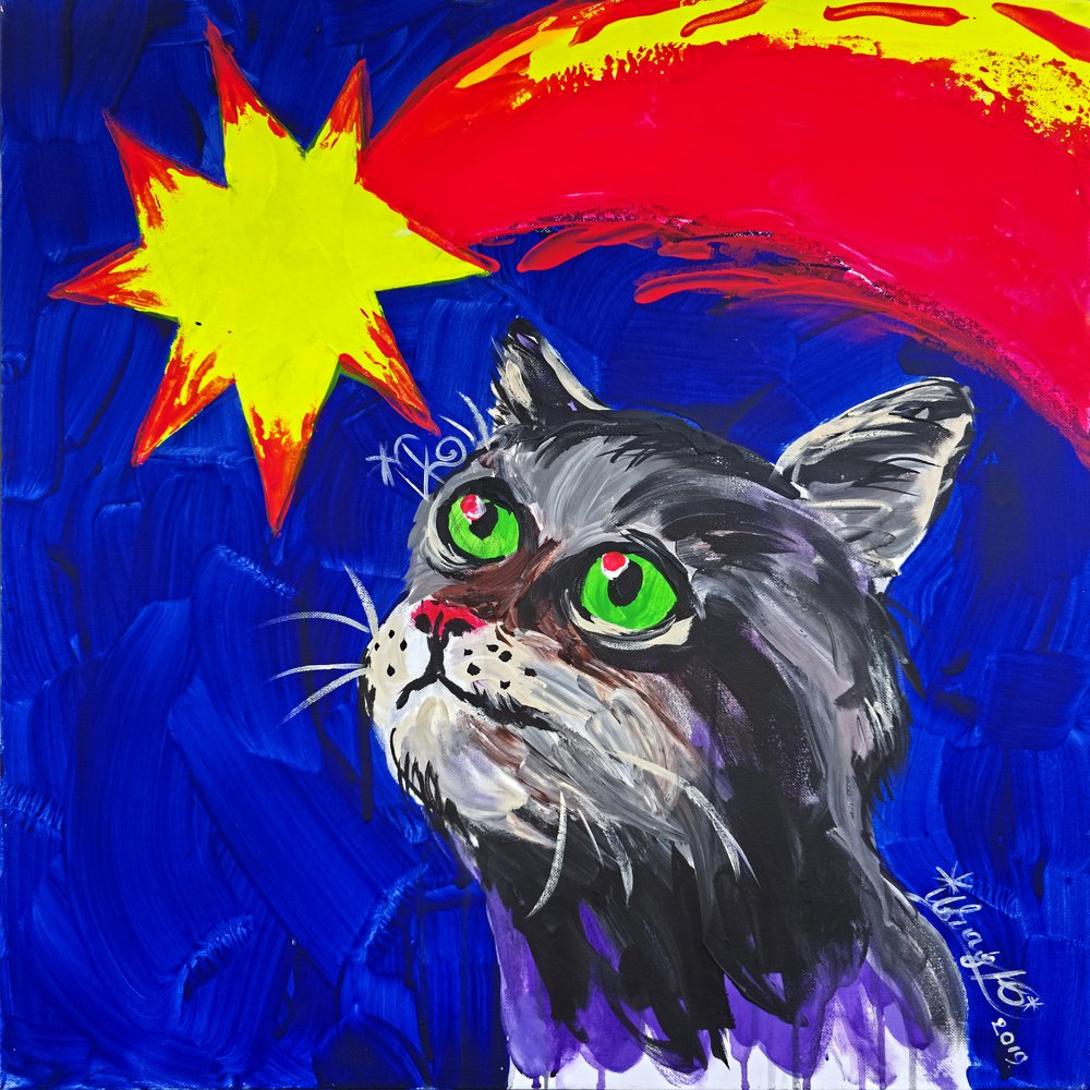 Gatto e Cometa da Kanat Ibragimov