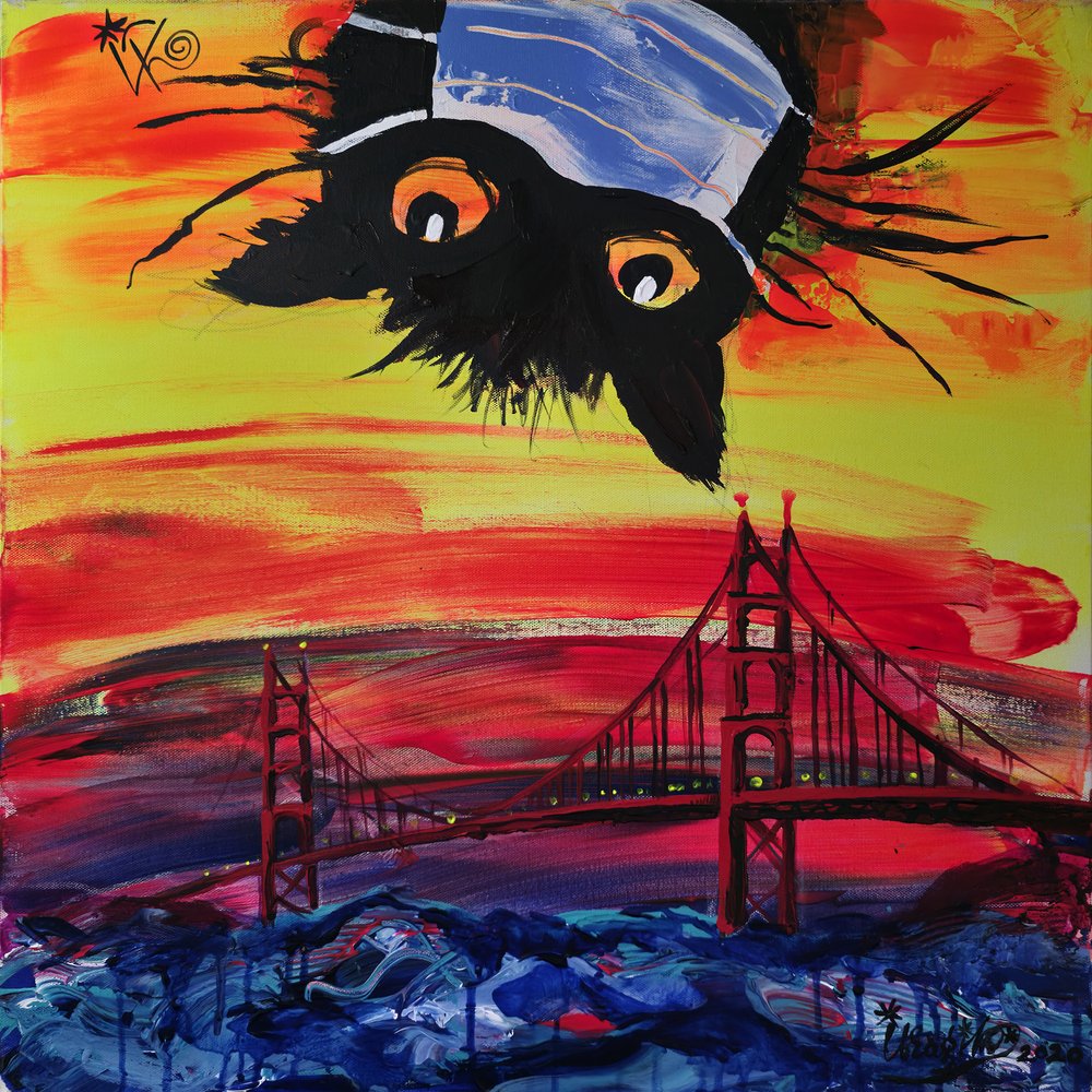 Gatto mascherato al tramonto a San Francisco da Kanat Ibragimov