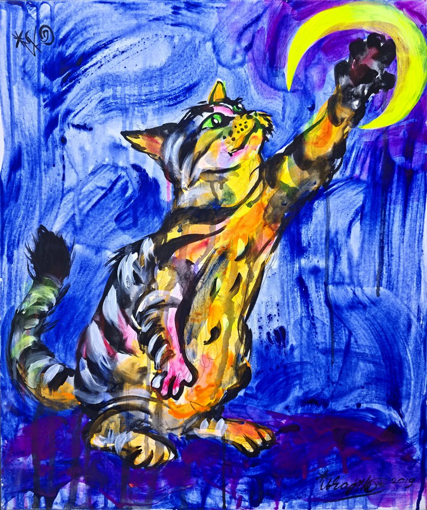 Gatto giocoso e la luna da Kanat Ibragimov