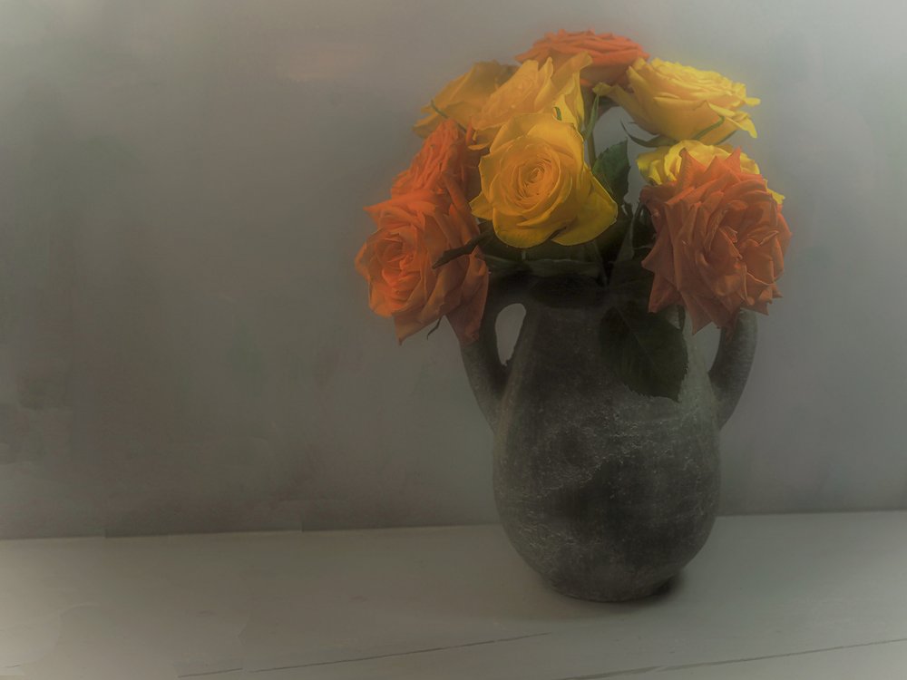 Rose morbide di colore giallo-arancio da Karen Smalley