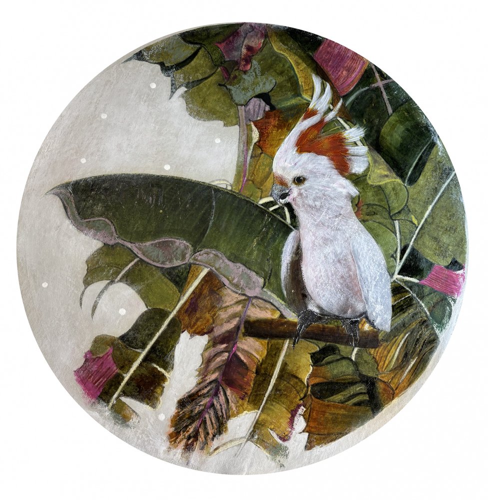 Cacatua bianca nella giungla da Karenina Fabrizzi