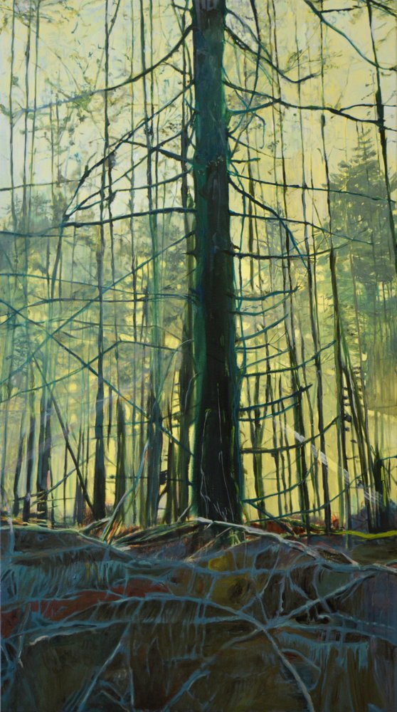 Luce eterea della foresta da Karin Bos