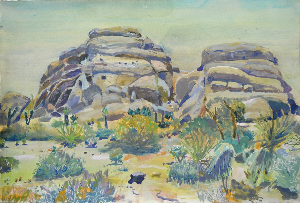 Paesaggio di Joshua Tree da Karin Bos