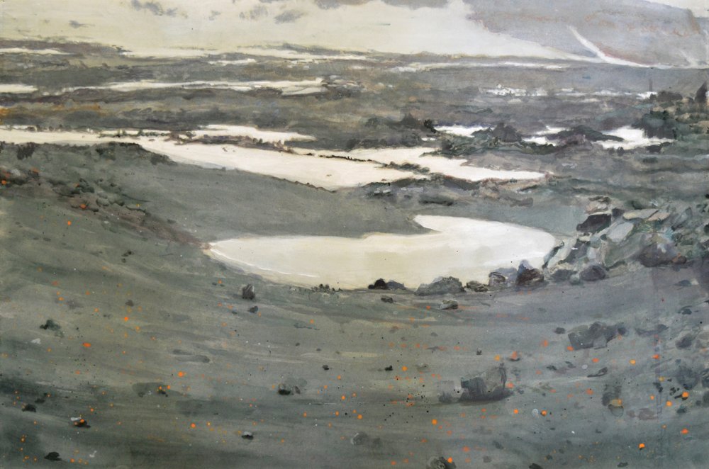 Paesaggio della tundra desolata da Karin Bos