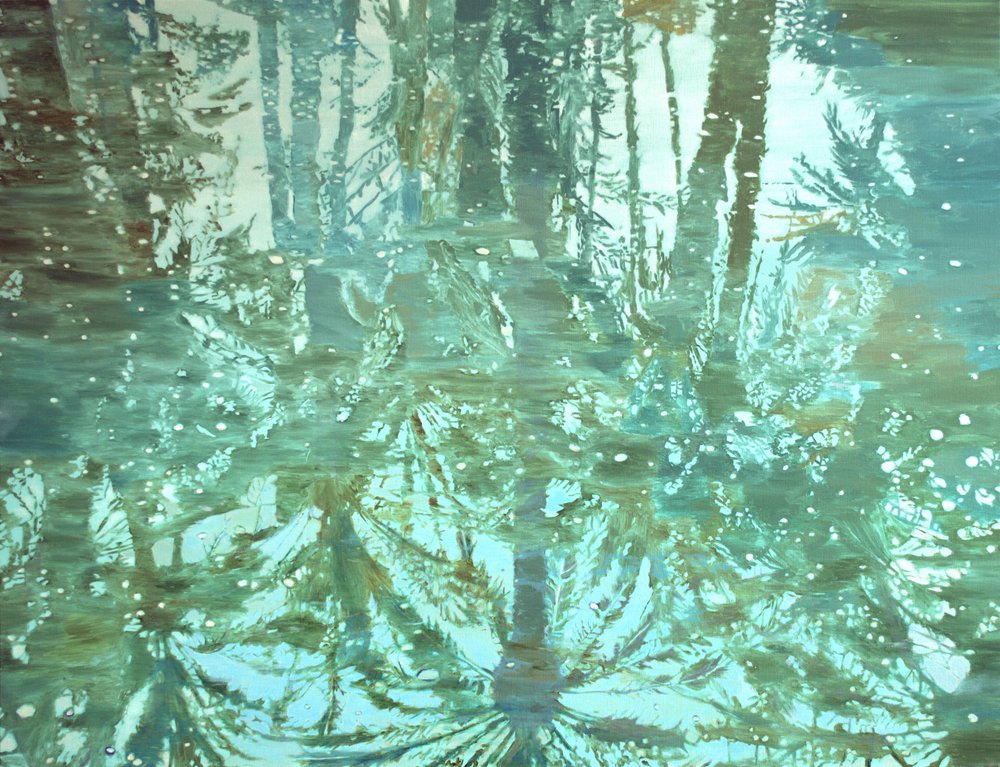 Riflessi nella foresta invernale da Karin Bos