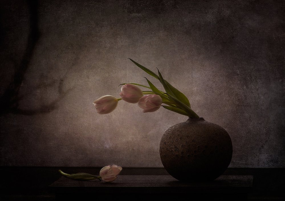 Eleganti tulipani malinconici da Katarina Holmström