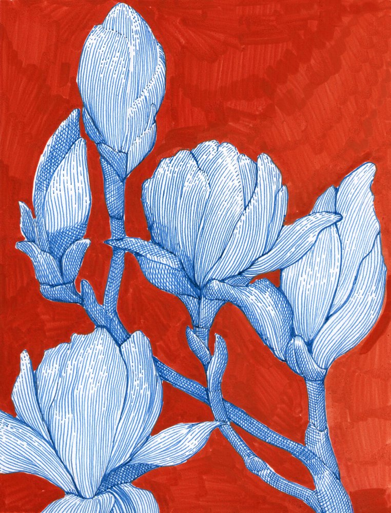 Magnolie blu intense da Katie O'Shea