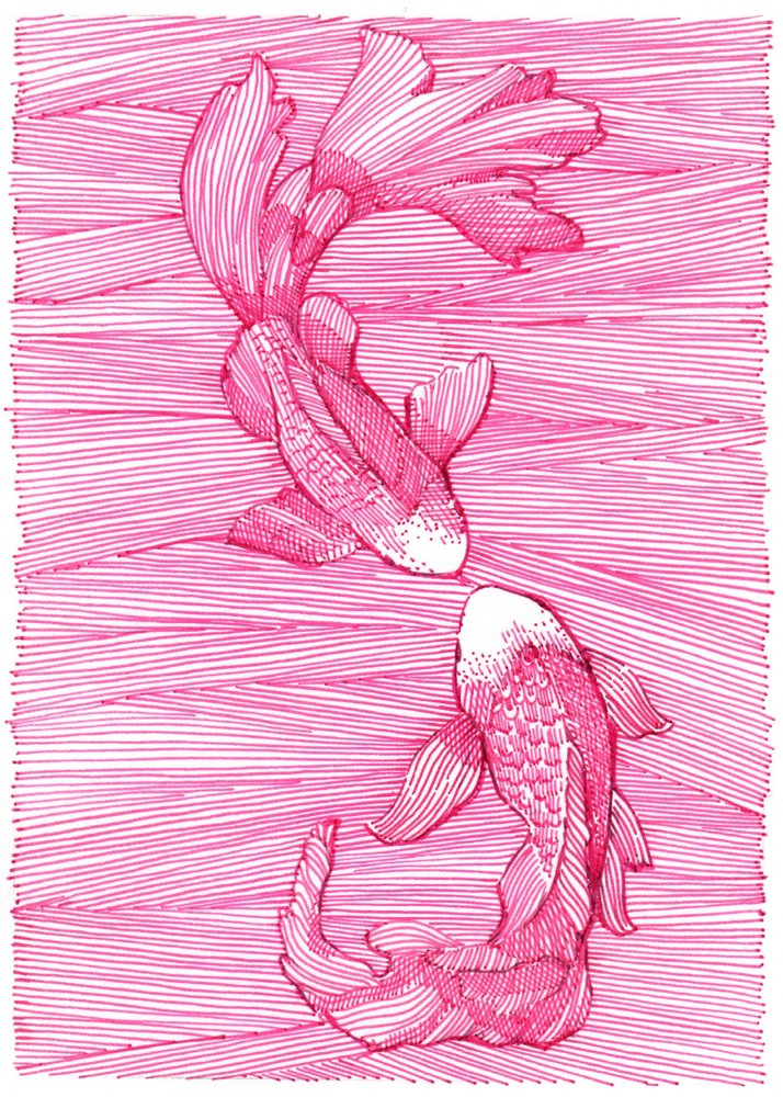 Danza dei koi rosa da Katie O'Shea