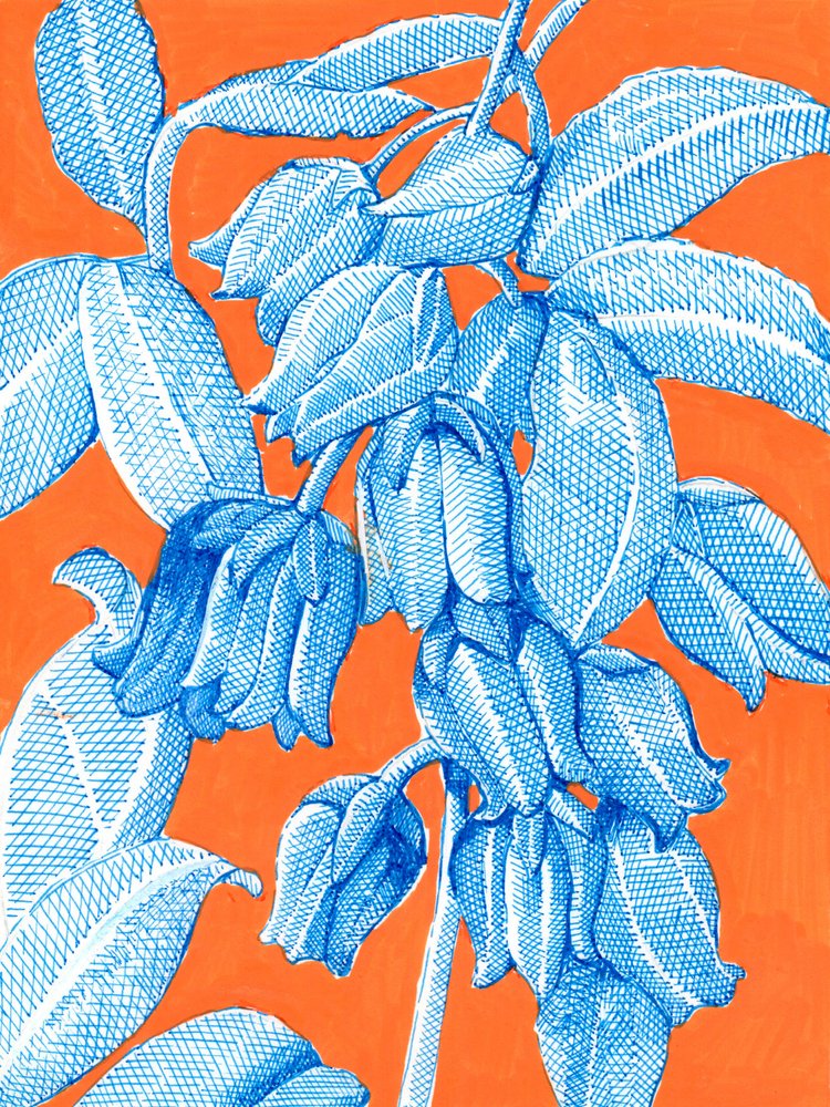 Botaniche blu vibranti da Katie O'Shea