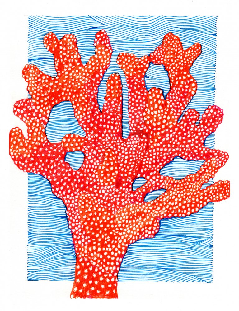Corallo rosso vibrante da Katie O'Shea