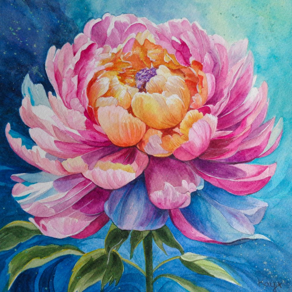 Peonia rosa vivace da Kay Shanley