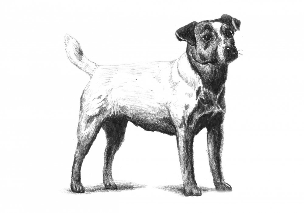  da Kulik