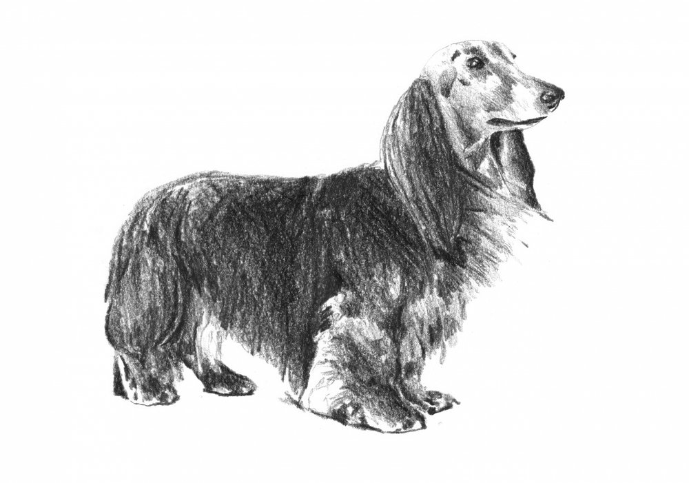 da Kulik