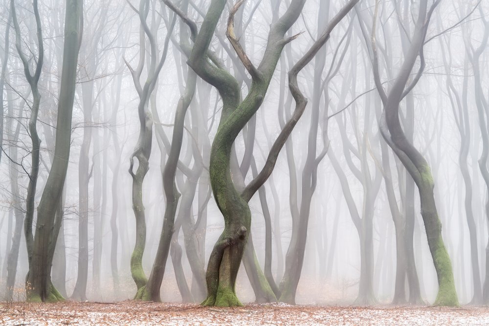  da Lars van de Goor †