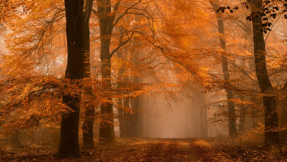  da Lars van de Goor †