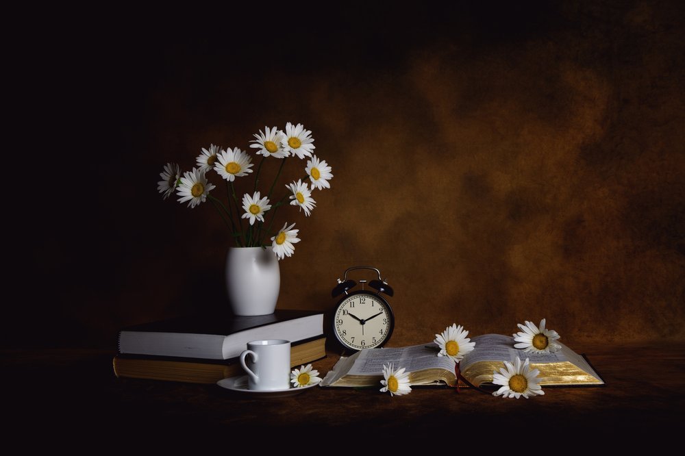 Daisies Books - Pace mattutina da Leah Xu