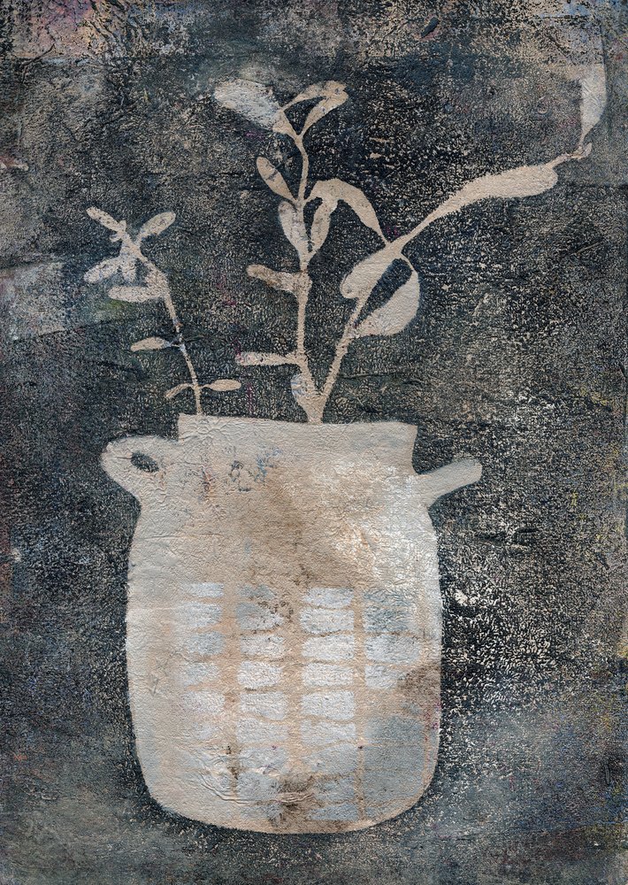Piante rustiche in vaso da Lena Ru