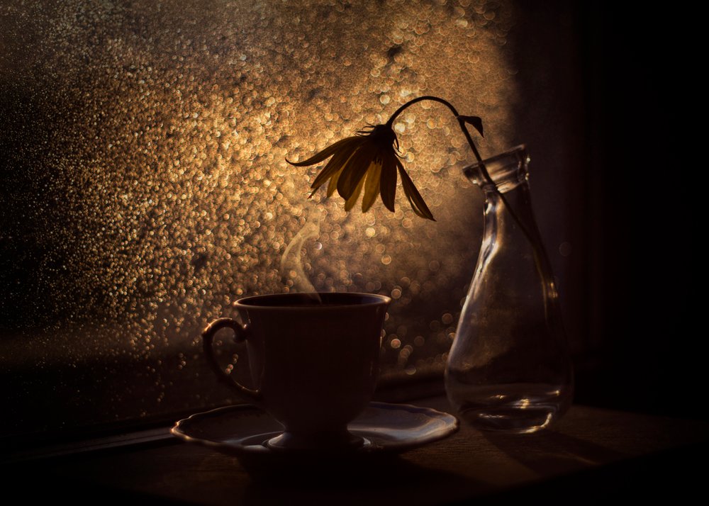 Fiore di caffè Golden Light da Lenka