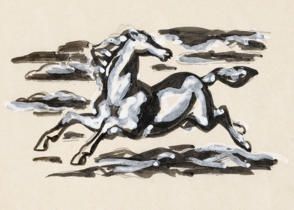 Cavallo al galoppo da Leo Gestel