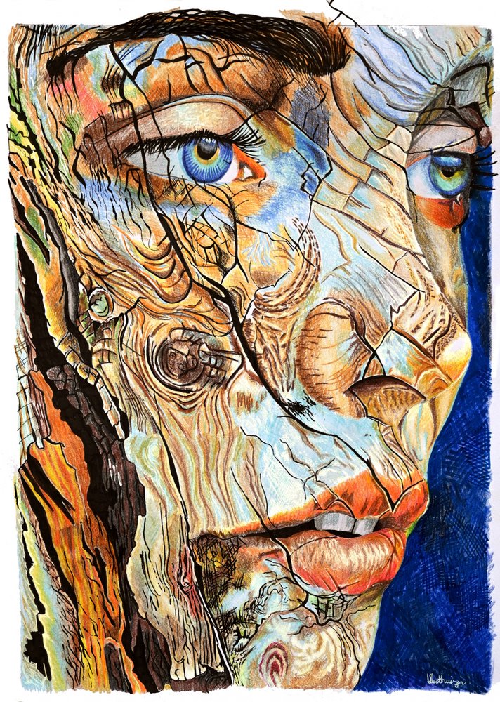 Ritratto su legno screpolato da Loretta Van Der Westhuizen