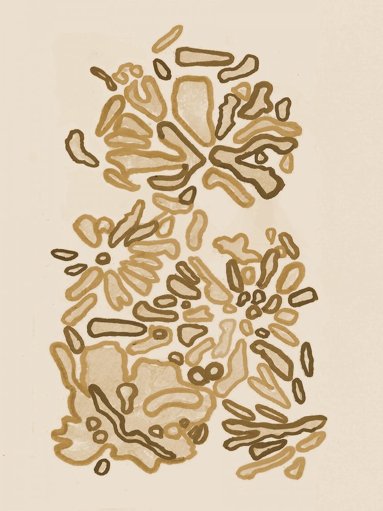Forme organiche fluide da Lori Ann Folz