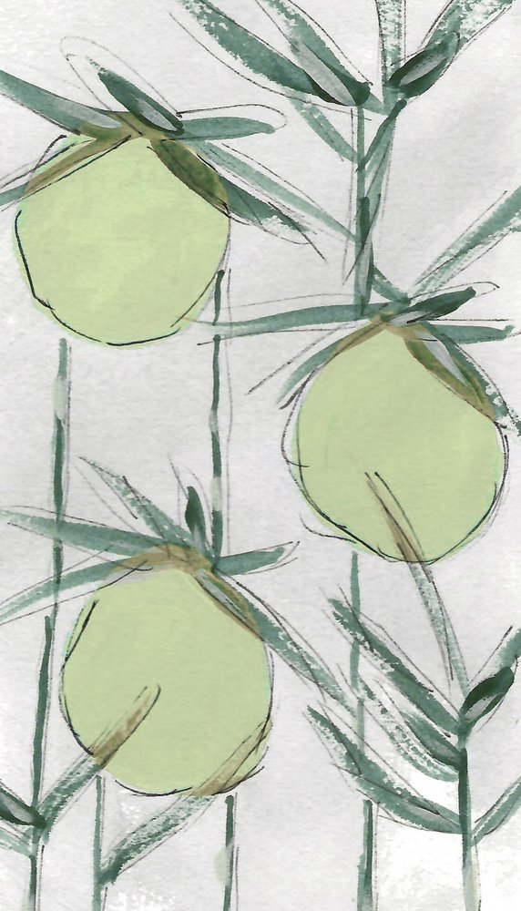 Prodotti botanici freschi e verdi da Lori Ann Folz