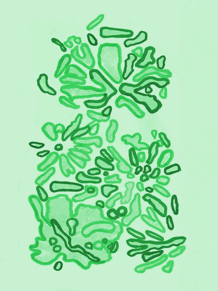 Forme verdi e organiche da Lori Ann Folz