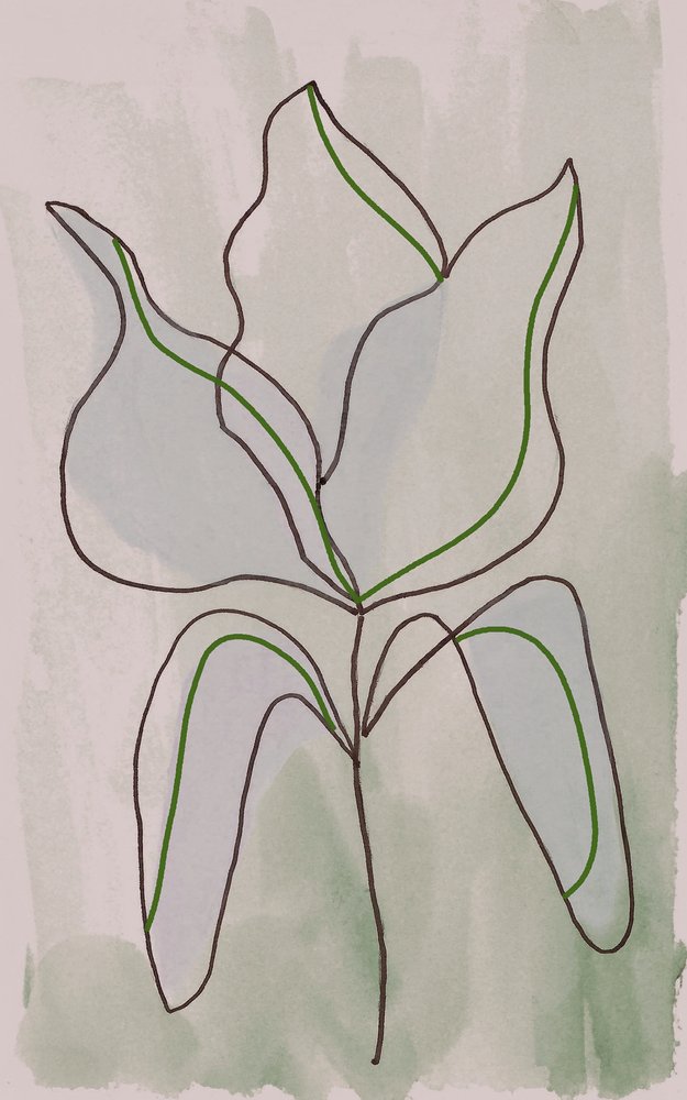 Disegno botanico minimalista da Lori Ann Folz