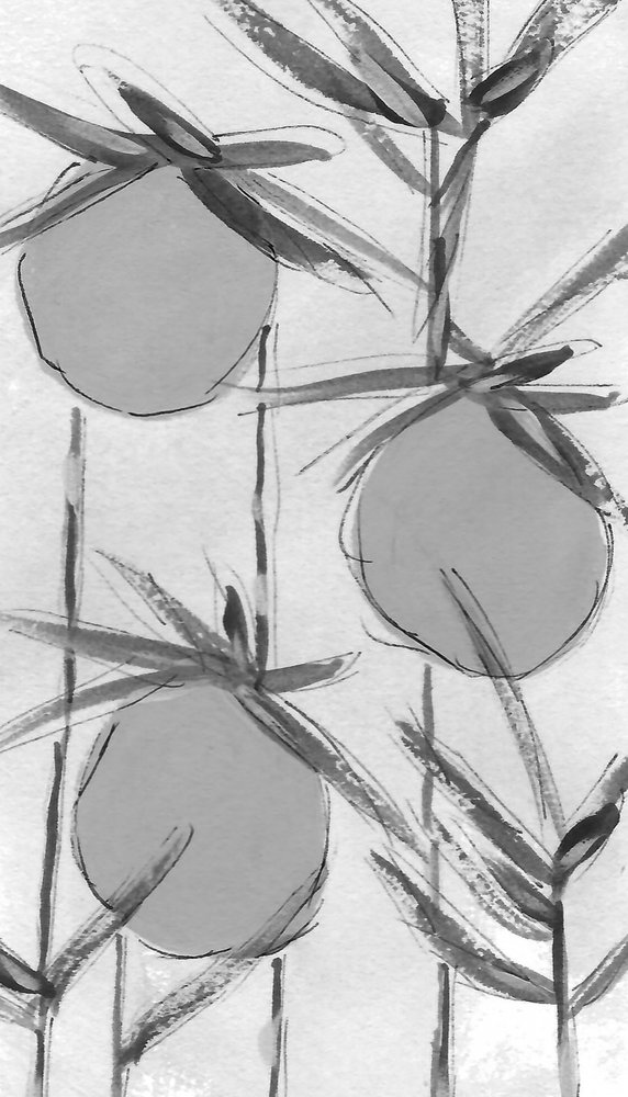 Organic Ink Botanicals da Lori Ann Folz