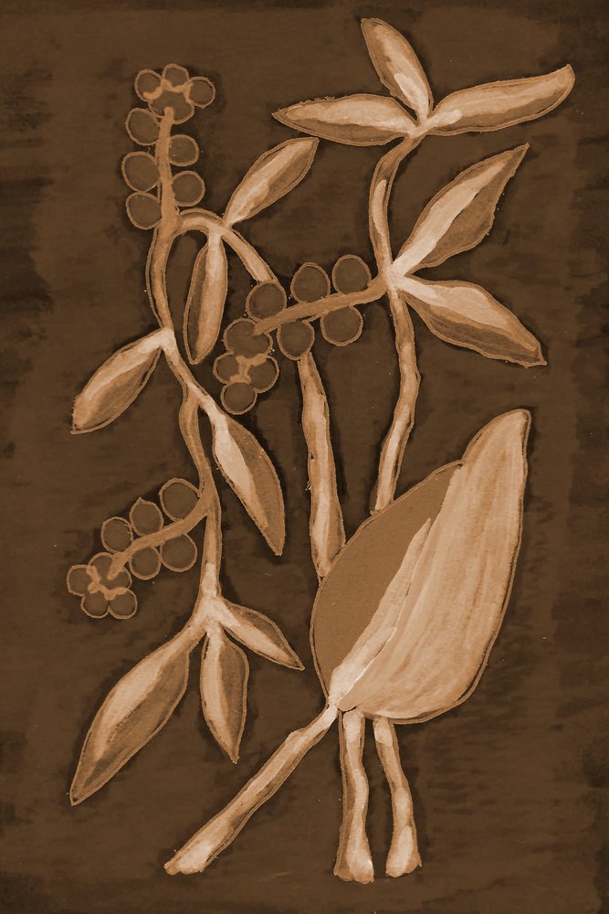 Prodotti botanici biologici Sepia da Lori Ann Folz