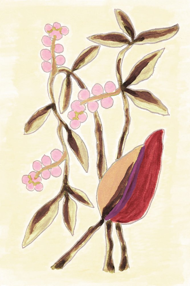Pink Berry Botanicals da Lori Ann Folz