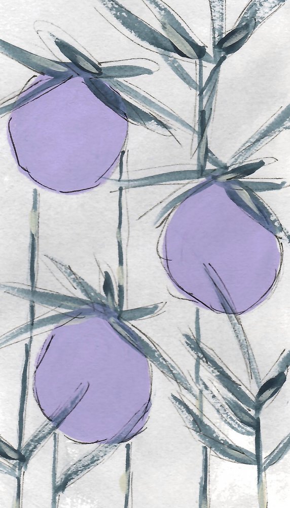 Frutti botanici viola da Lori Ann Folz