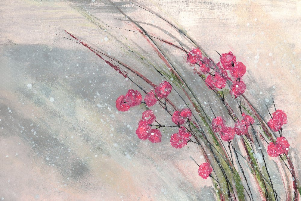Bacche rosa innevate da Lori Ann Folz