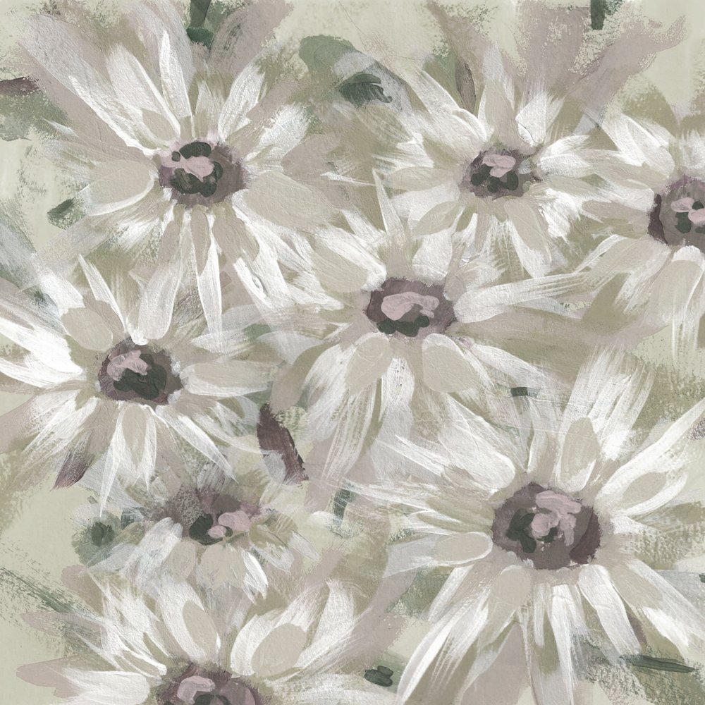 Morbidi fiori di margherita da Lori Ann Folz