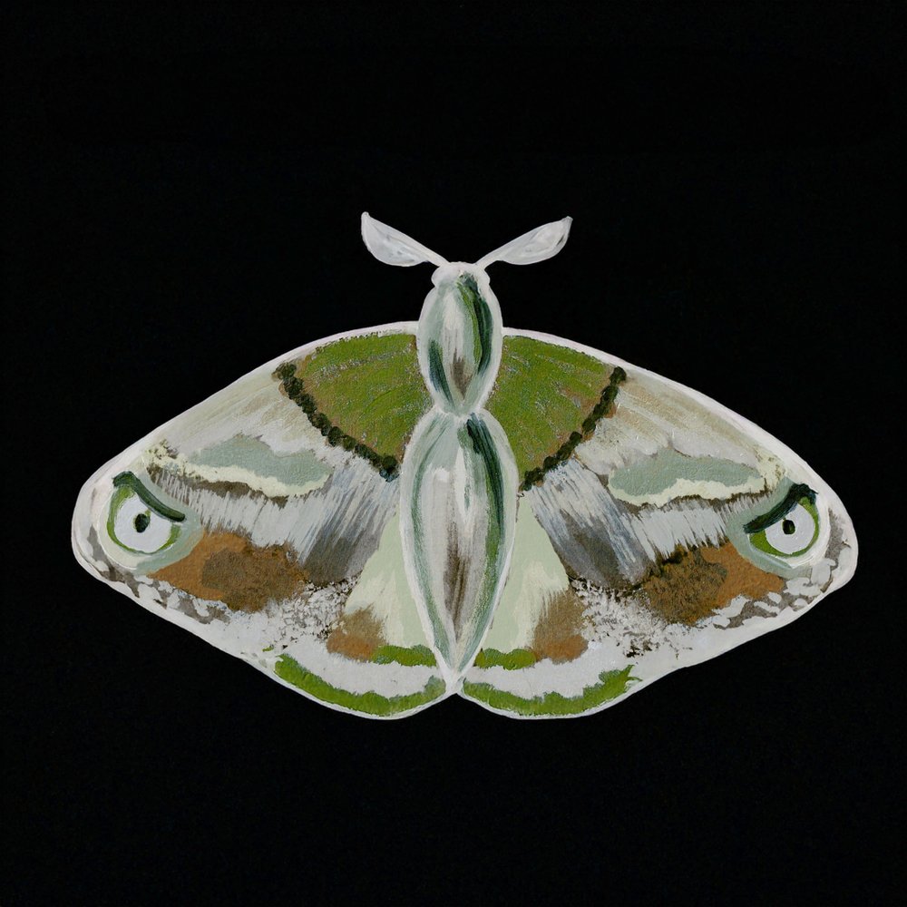 Una falena verde davvero suggestiva da Lori Ann Folz