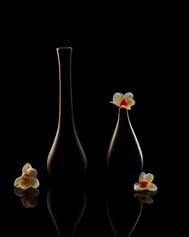 Eleganti riflessi di orchidee da Louie Luo