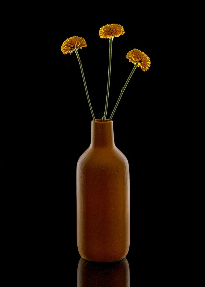 Vaso marrone con fiori dai toni caldi da Louie Luo