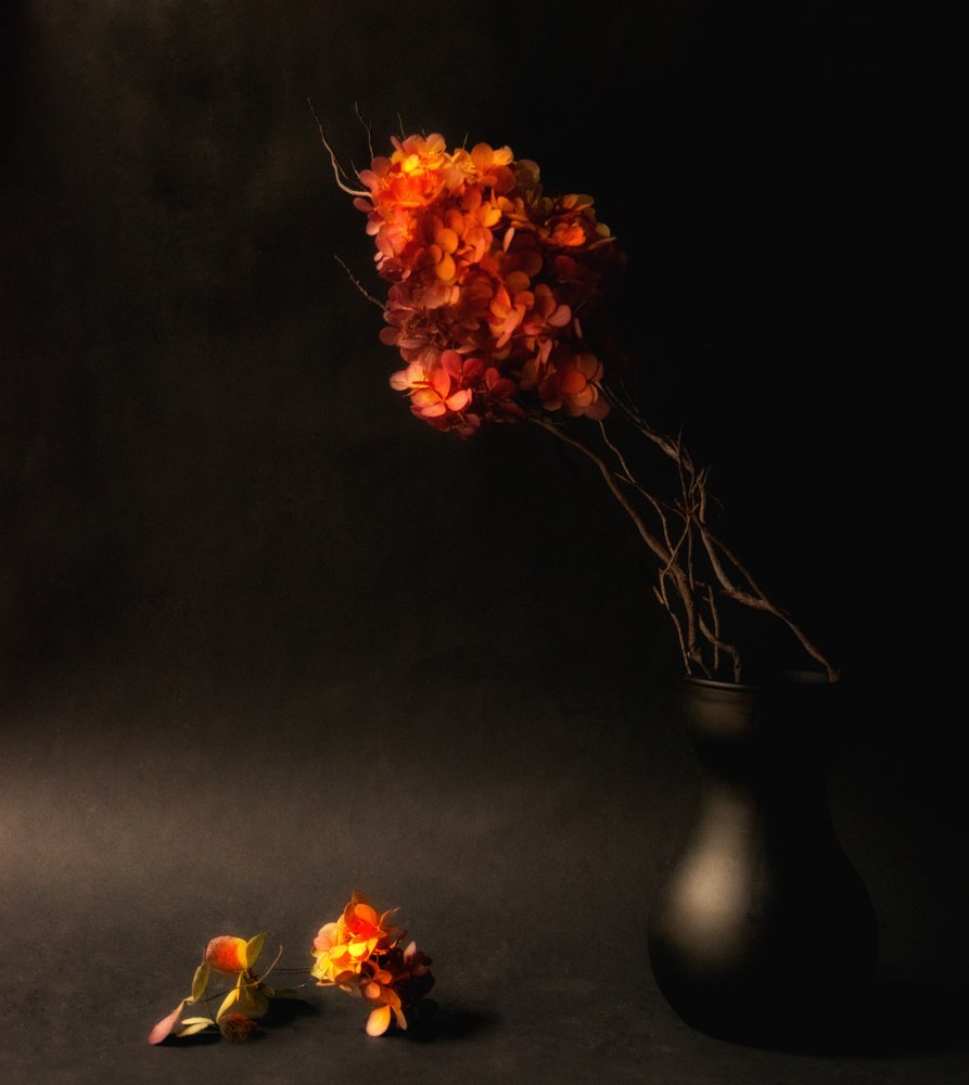 Suggestivi fiori autunnali da Ludmila Shumilova