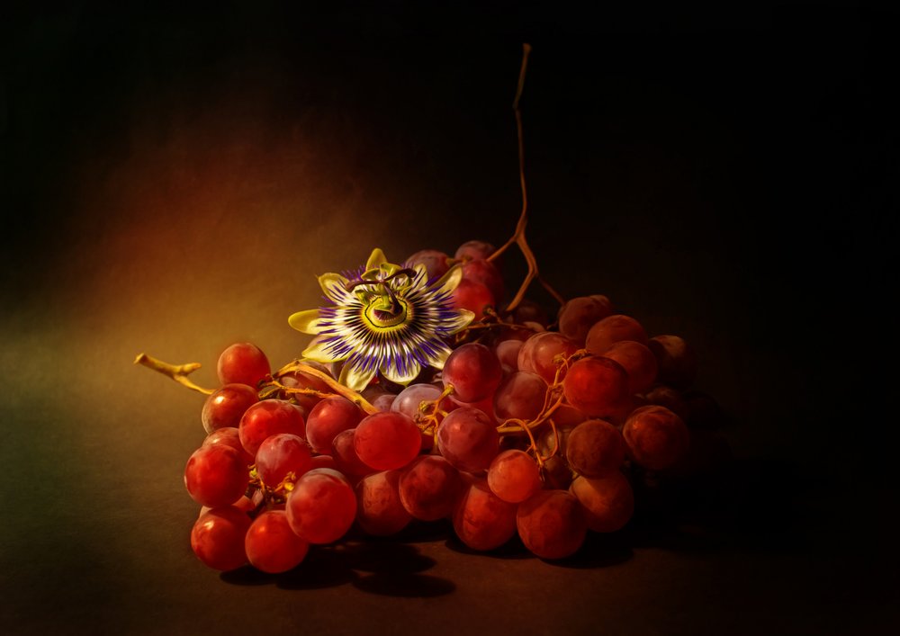 Uva rigogliosa e fiore della passione da Ludmila Shumilova