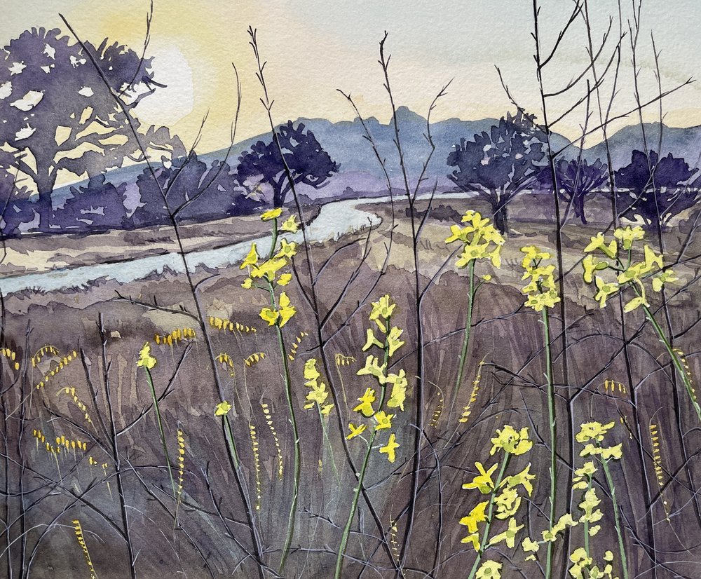 Fiori dell