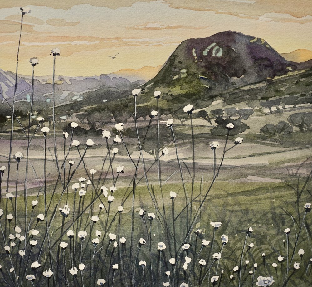 Fiori selvatici del Cielo Dorato da Luisa Millicent