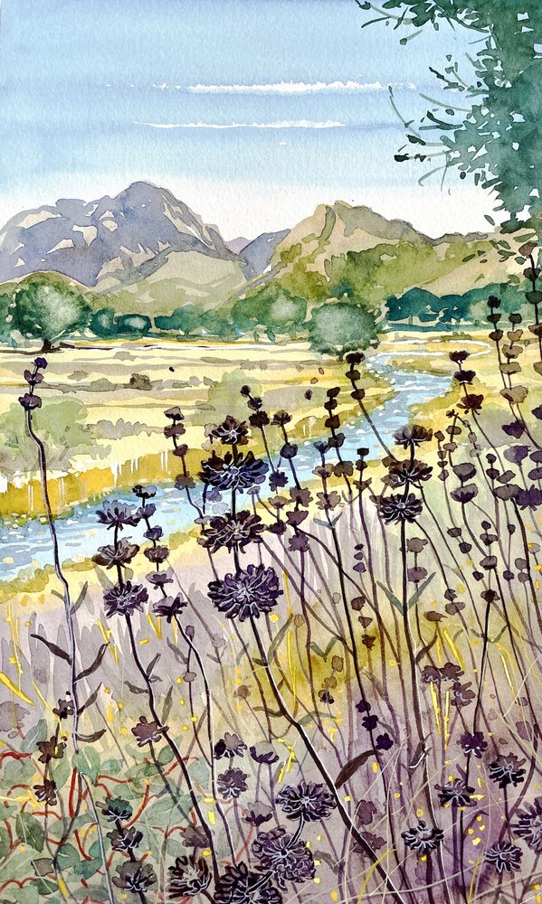 Fiori di montagna e di fiume da Luisa Millicent