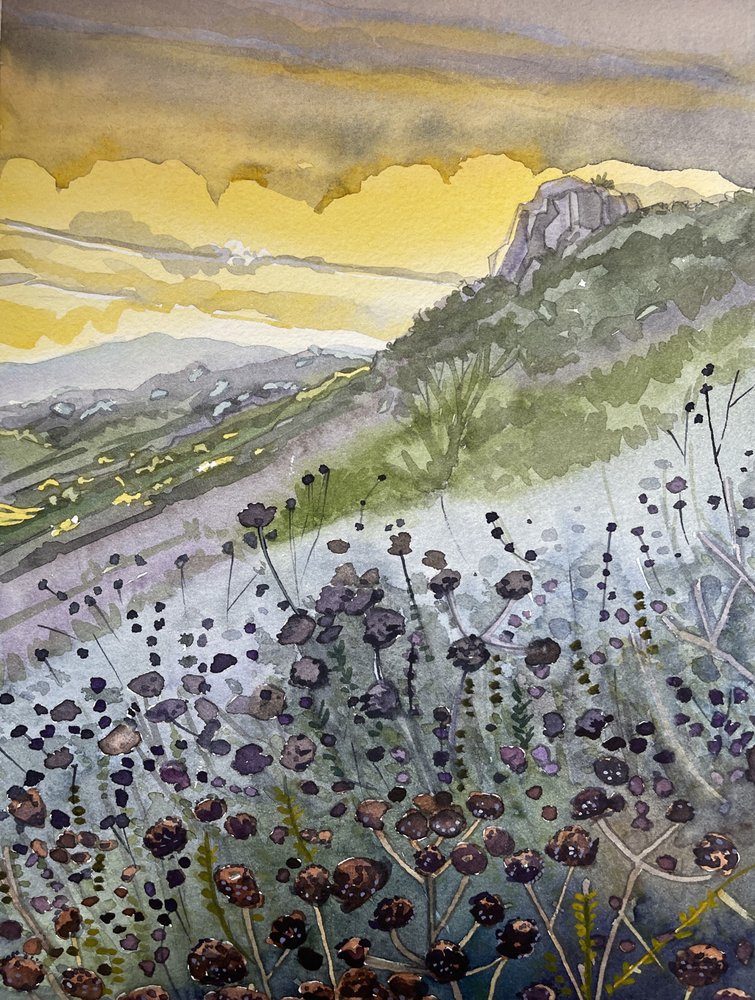 Tramonto in montagna e fiori selvatici da Luisa Millicent