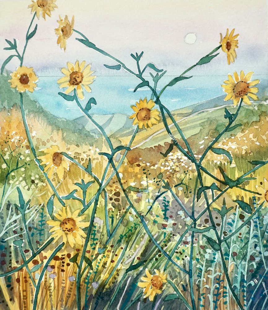 Fiori di campo soleggiati con vista sull